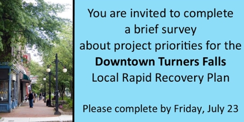 Downtown Recovery Action Survey